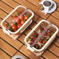 Cutie pentru Depozitare Alimente, Flippy, de Uz Casnic, 2 Compartimente, Zona pentru Gheata, Mentinere Fresh, cu Maner, Material PET, 23x15x10.8 cm, Bej