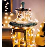 Instalatie Craciun cu baterii, 3 metri, 20 LED-uri tip Stea, fir Transparent, Alb Cald, Vafy
