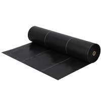 Folie agrotextil, mulcire, antiburuieni, filtru UV, 10 x 1.6metri, 70g/m2, negru