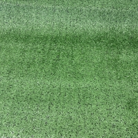 Covor Iarba Artificiala, Tip Gazon, Verde, 10 mm, 5 mp, 100×500 cm