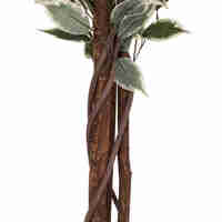 Planta artificiala Atmosphera Ficus cu ghiveci, 97x86x185 cm, verde in doua nunante