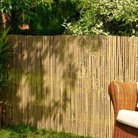 Panou de gard/paravan din bambus Sersimo, 100x300cm, 12mm