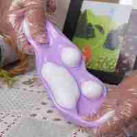 Jucarie Antistres Squishy, Flippy, cu Revenire Lenta, Model Labuta de Pisica, 200g, 12.5 x 10.5 cm Squeeze Pinch Family, Ambalaj Transparent, Model 4