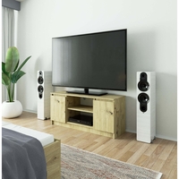 Comoda TV cu 2 usi si o polita, PAL laminat 16 mm, 120x40x55 cm, stejar artisan