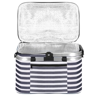 Geanta pentru picnic sau plaja, termoizolanta, 28 litri, alb albastru