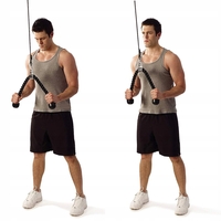 Franghie pentru antrenament la helcometru triceps, Sersimo