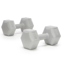 Set gantere hex 2x4 kg, bitum cu invelis rezistent PP, gri