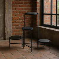 Suport pentru flori cu structura metalica, 4 niveluri, cu rafturi rotunde, 60x43x60 cm, negru