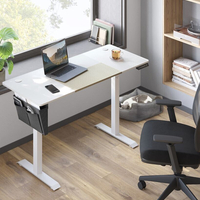 SONGMICS Birou cu reglaj electric pe inaltime, memorie cu 4 inaltimi, 60x140x(72-120)cm, alb