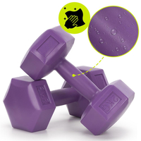 Set gantere hex 2x2 kg, bitum cu invelis rezistent PP, mov