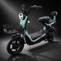 Scuter Electric KG, Saige, Fara Permis, Motor 500W, Baterie 48V20Ah, Autonomie 60km, 153x40x85 cm, Viteza Maxima 25km/h, Verde