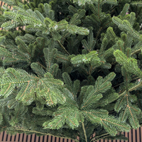 Brad artificial Christmas Deluxe by Sersimo, Viena Select, integral 3D, 250 cm