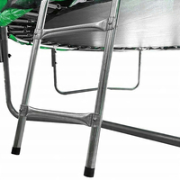 Trambulina gradina 252 cm cu scara si plasa interioara, maxim 100 kg, verde