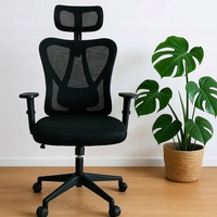 Scaun birou ergonomic, reglabil, cu suport lombar si tetiera, plasa mesh, maxim 120 kg, 50x50x126 cm, negru