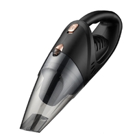 Aspirator Auto, Flippy, pentru interiorul Automobilului, putere Turbo, alimentare DC 12 V, 42 x 14 cm, Negru