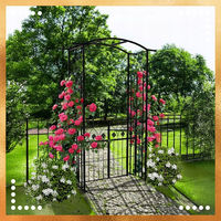 Pergola gradina metalica cu poarta, suport plante cataratoare, 106x50x217 cm, negru