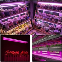 Lampa dubla pentru cresterea plantelor Flippy, 50 cm, T5, tehnologie LED, nu afecteaza plantele, potrivit pentru intregul ciclu de crestere