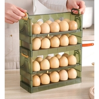Suport Organizator pentru Oua, Flippy, pentru Frigider, Verde transparent, Capacitate 20 oua, Doua straturi, cu Data de Expirare, 25.5x10x17 cm