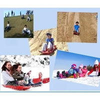 Sanie, Flippy, din Plastic, +3 Ani, 87 x 40 x 17.5 cm, cu Frana si Franghie, pentru Adulti si Copii, Rosu