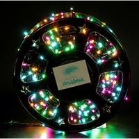 Instalatie Craciun liniara cu transformator, 100m, multicolor, 1000 LED-uri, fir negru, 8 jocuri de lumini, Vafy
