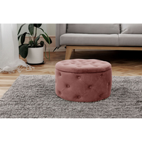 Taburet Alia cu spatiu depozitare, tapitat cu velur, 55x30 cm, roz