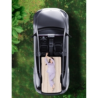 Saltea Speciala de Calatorie, Vafy, Tesla Model Y / 3, pentru Camping, Portbagaj, Spate, pentru Dormit in Aer Liber, Geanta si Perna Incluse, Gri