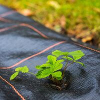 Folie agrotextil, mulcire, antiburuieni, filtru UV, 10 x 1.6metri, 70g/m2, negru