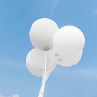 Set 10 Baloane din Latex, Flippy, Model Party, 13 cm, 1 g, Alb