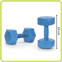 Set gantere hex 2x2,5 kg, bitum cu invelis rezistent PP, albastru