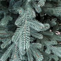 Brad artificial Christmas Deluxe by Sersimo, Viena Select argintiu, integral 3D, 250 cm