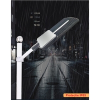 Lampa solara stradala Flippy, IP65, senzor de lumina, 510 LED-uri SMD, 5000 lm, panou 53W, putere 500W, autonomie 12-16 ore, telecomanda, montare prin fixare, pentru strada sau gradina, finisaj mat, material ABS, 91.6 x 36.5 x 8.7 cm, gri