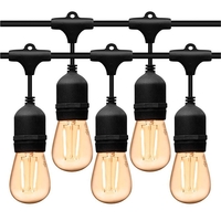 Ghirlanda Luminoasa, Flippy, cu Transformator, 10 m, 10 LED-uri Model Bulb, Interconectabila, IP44, Alb Cald