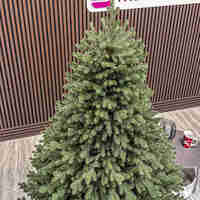 Brad artificial Sersimo, Sionne Elite, verde, integral 3D, 200 cm