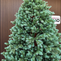 Brad artificial Sersimo, Hollandia, verde cu varfuri argintii, integral 3D, 210 cm