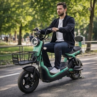 Scuter Electric KG, Saige, Fara Permis, Motor 500W, Baterie 48V20Ah, Autonomie 60km, 153x40x85 cm, Viteza Maxima 25km/h, Verde