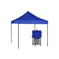 Cort pliabil pentru Evenimente, cadru metalic pentru curte si gradina, 2x2 m, Albastru, Flippy