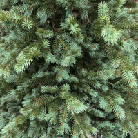 Brad artificial Sersimo, Scandinavia, verde cu varfuri argintii, integral 3D, 230 cm