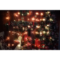 Instalatie Craciun, Tip Perdea, IP44, 1 m x 1 m, 60 LED-uri, Alb cald, 8 jocuri de lumini, Transformator, Interconectabila, Prelungitor 3 m inclus, Fir transparent, Interior/ Exterior, Vafy