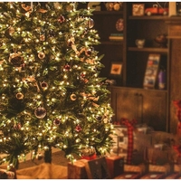 Instalatie Craciun, 300 LED-uri, 32 metri, pentru exterior cu incarcare solara, alb cald, Vafy