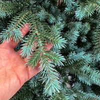 Brad artificial Sersimo, Scandinavia, verde cu varfuri argintii, integral 3D, 230 cm