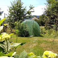 Sera de gradina, tip tunel cu cadru metalic, 350x200cm, verde, 7mp