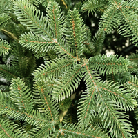 Brad artificial Christmas Deluxe by Sersimo, Canada verde, 3D, 250cm