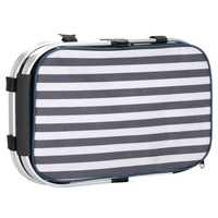 Geanta pentru picnic sau plaja, termoizolanta, 28 litri, alb albastru