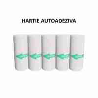 Set Camera Instantanee pentru Copii, Flippy, Ecran HD 2.4'', 24MP, 720P Video, 1200 mAh, cu Functie de Printare Alb-Negru, cablu USB-C, Bluetooth, Compatibil iOS/Android, Imprimare APP, Model Dinozaur, Verde