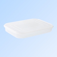 Cutie de depozitare de uz casnic, Flippy, Caserola pentru Frigider, Rezistenta la umiditate, Rezervor Sigilat pentru Depozitare Alimentara, 24.5 x 18.5 x 3.5cm, Alb Transparent