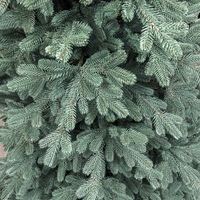 Brad artificial Christmas Deluxe by Sersimo, Viena Select argintiu, integral 3D, 250 cm