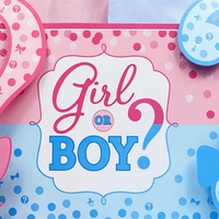 Banner pentru Petrecere, Vafy, Model Girl or Boy, Tematica Gender Reveal, 150 x 100 cm, Albastru Roz