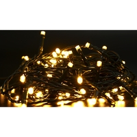 Instalatie Craciun liniara, cu transformator 31V, 10m, alb cald, 100 LED-uri V5, 8 jocuri de lumini, Fir verde, Vafy