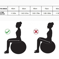Minge pentru fitness sau yoga 85 cm, pompa inclusa, albastra