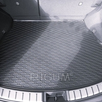 Tavita portbagaj Lexus NX 350h Hybrid, fabricatie 11.2021 - prezent, caroserie suv